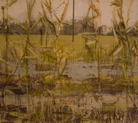 Maize Field after Harvest