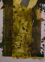 Disused Footpath (from series)